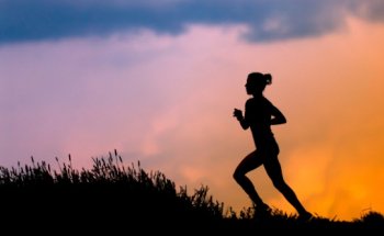 Champion Performance & Physical Therapy