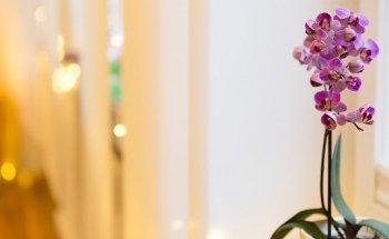 Physiotherapie & Lymphdrainage Irene Strauß