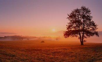 Physiotherapie Tanja Kolloros