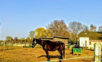 Gesundheitspraxis Zanin