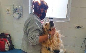 Centro Kinesiologico Veterinario DRA.VINKA YUTRONIC