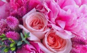 Centro Medico Dental y Radiologico las Rosas