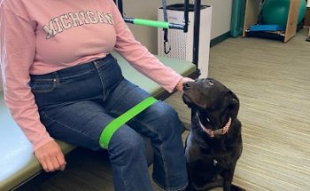 Healthy Consumer Physical Therapy Lansing