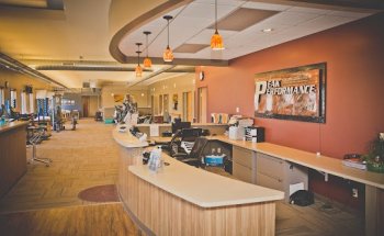 Peak Performance Physical Therapy- Lansing