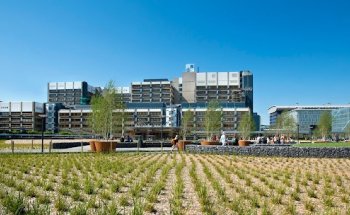 Leiden University Medical Center (LUMC)
