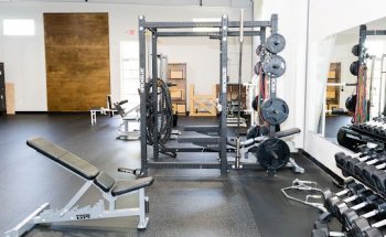 Physical Therapy Institute