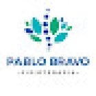 Pablo Bravo Fisioterapia