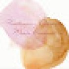 FISIOTERAPIA Y OSTEOPATIA MARIA BARCENAS