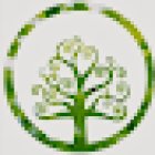 Puravida Quiropráctica Barcelona