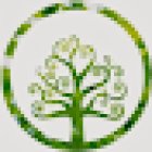 Puravida Quiropráctica Barcelona - Vila Olimpica