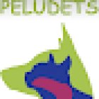 Clínica Veterinaria Domesticos y Exóticos Peludets