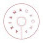 Ariana Gaona Fisioterapia especializada en salud femenina