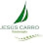 Jesús Carro Fisioterapia