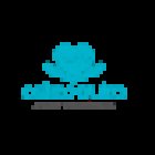 OsteoQuiro Javier Castellanos / Osteopatía y Quiromasaje (Masajes Relajantes y para mejorar contracturas)