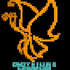 Silke Maria Haas - Energetic Coaching & Healing