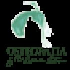 Osteopata Sabadell Mª Carmen Esteve