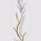 Irene Ramos quiromasajista