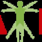 Shalom Estética Natural