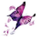 Ester Saumell - Imagen y Bienestar personal