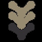 Centro Quiropráctico | Páyer Quiropráctica