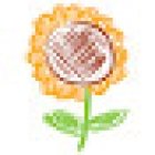 Sunflower Performance Training