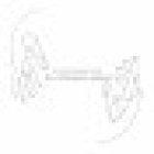 Dott.Francesco Guasti Fisioterapista e Osteopata