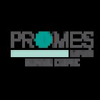 Promes Sanità Srl