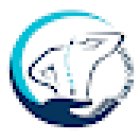 Dott. Andrea Conti Fisioterapista