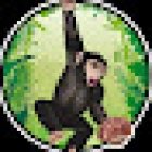 Rinascita - Riabilitazione e Performance