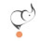 Dott.ssa Silvia Gaspari - Fisioterapista e Osteopata San Giovanni Lupatoto