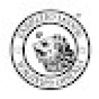 Fisioterapia Monteverde Physio Trainer