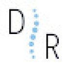 Dott. Dennis Rodegher Fisioterapista Verona