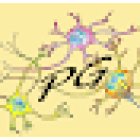 Fisioterapia & counseling