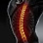 FISIOTERAPIA-OSTEOPATIA - Dott. Manfredi Zampar