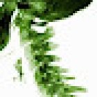 Dr. Andrea Mandelli, Fisioterapista