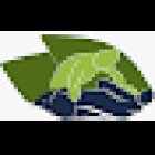 Studio Privato Torman Fisioterapia Sportiva, Terapia Manuale e Osteopatia