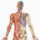 Studio Osteopatia e Fisioterapia Dott. Scarpello