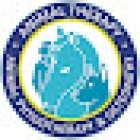 Animal Therapy - Elisabeth Reso