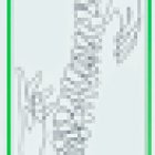 FISIOTERAPIA Dott.ssa Cataneo Patrizia