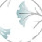 Multispecialistico Schmitt