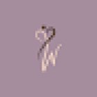 Physio Wellness- Dott.ssa D’Amora