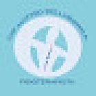 Dr Matteo Dellaborra - Fisioterapista