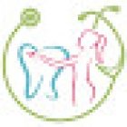 Dental Biomed - Dott.sse Cicchelli Cardelli