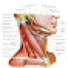 Dr. Andrea Alberti - Fisioterapista