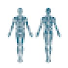 Cologna Fisioterapia