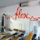 Palestra Flex di Sammartino Eros