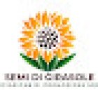 Semi di Girasole associazione di promozione sociale