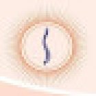 Fisioterapista Dr. Lorenzo Spairani