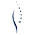 DEB-LAB Dynamic Evolution of Body