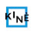 Kinè Physiotherapy and Movement Analysis